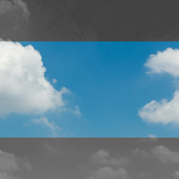 DTF Shakers & Dryers